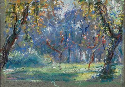 Alberi a Villa Borghese