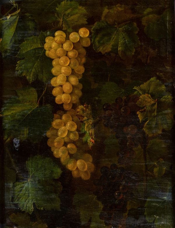 Natura morta con grappoli d&#39;uva