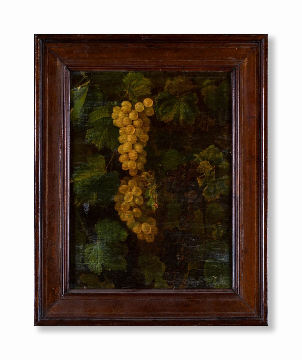 Bartolomeo Cavarozzi ( Seguace ) - Natura Morta con Grappoli D'uva