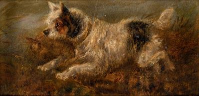 Cane Giocondo