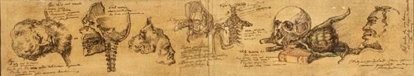 Scuola italiana del XVII secolo - Studi anatomici