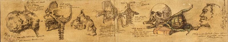 Scuola Italiana del XVII Secolo - Studi Anatomici