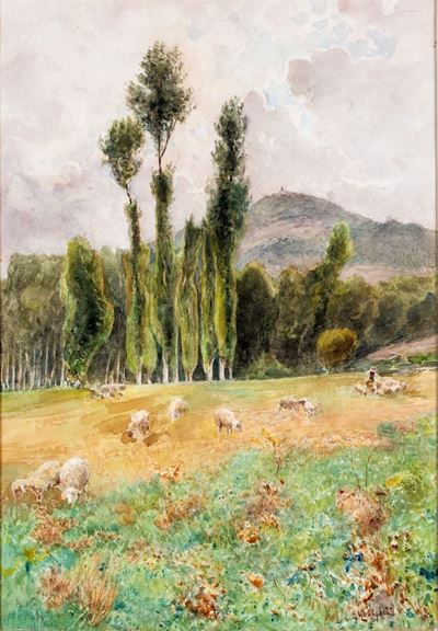 Greggi al Pascolo