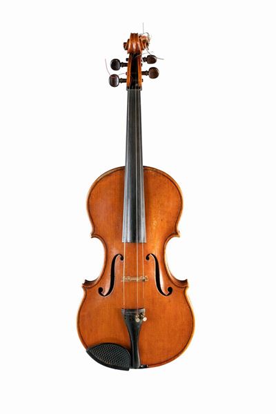 Viola di Fernando Ferroni, Firenze