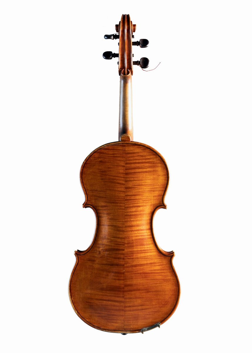 Viola di Fernando Ferroni, Firenze
