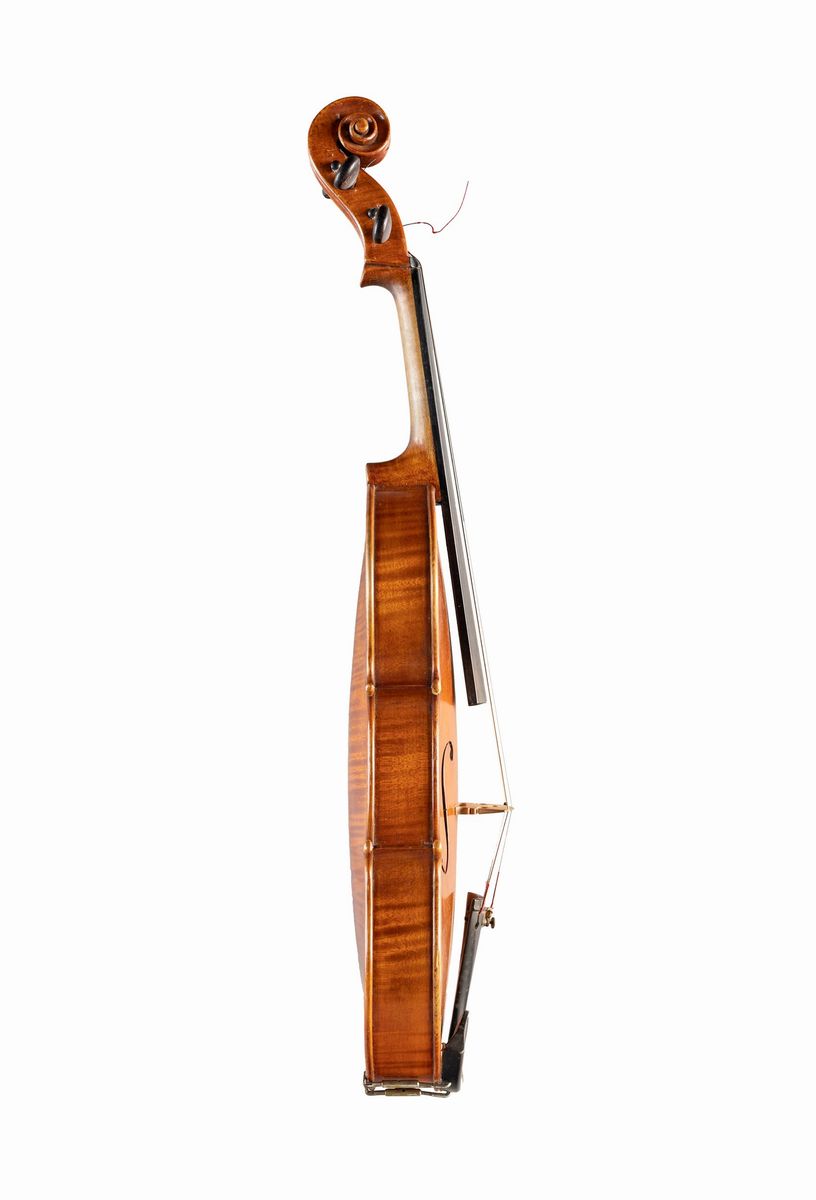 Viola di Fernando Ferroni, Firenze