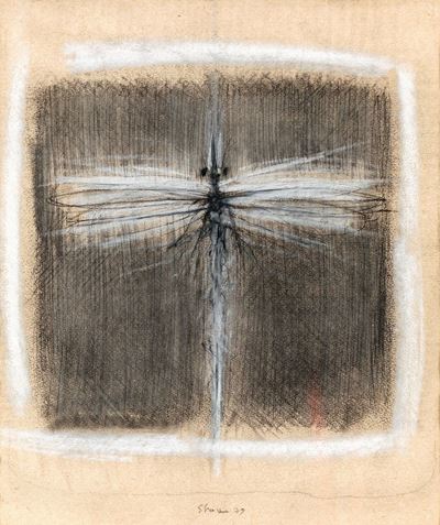 Libellula
