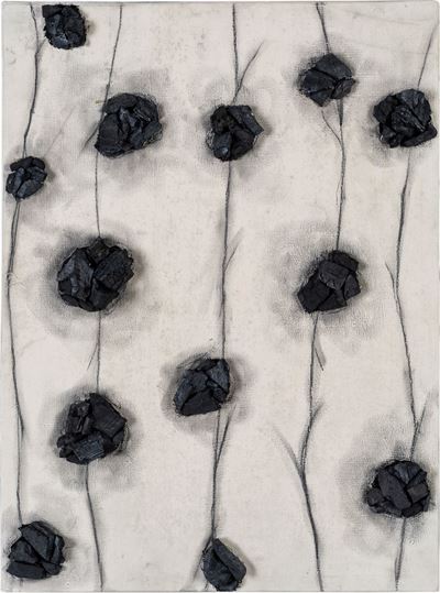 Black Holes