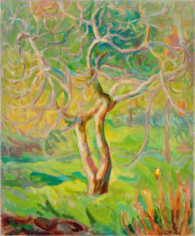 Il Bosco