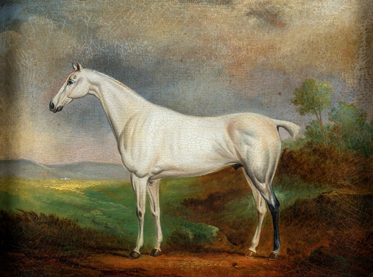Pittore Inglese del XIX Secolo - Cavalli