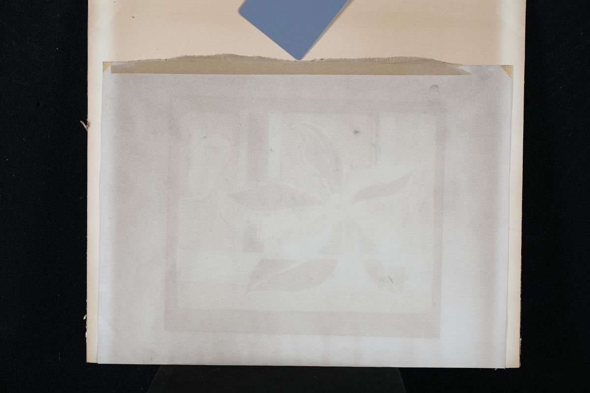 Anonimo del XX Secolo - Litografia Fiore