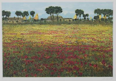Campo di Papaveri