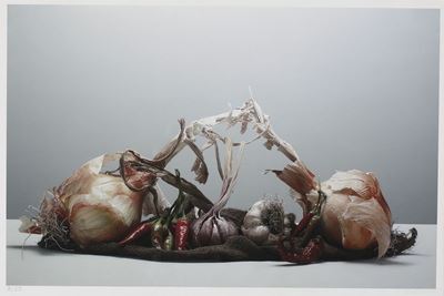 Natura Morta