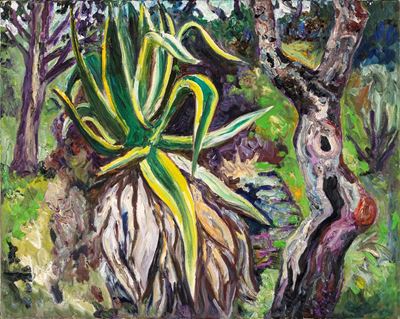 Agave