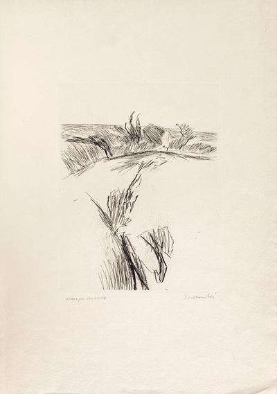 Paesaggio