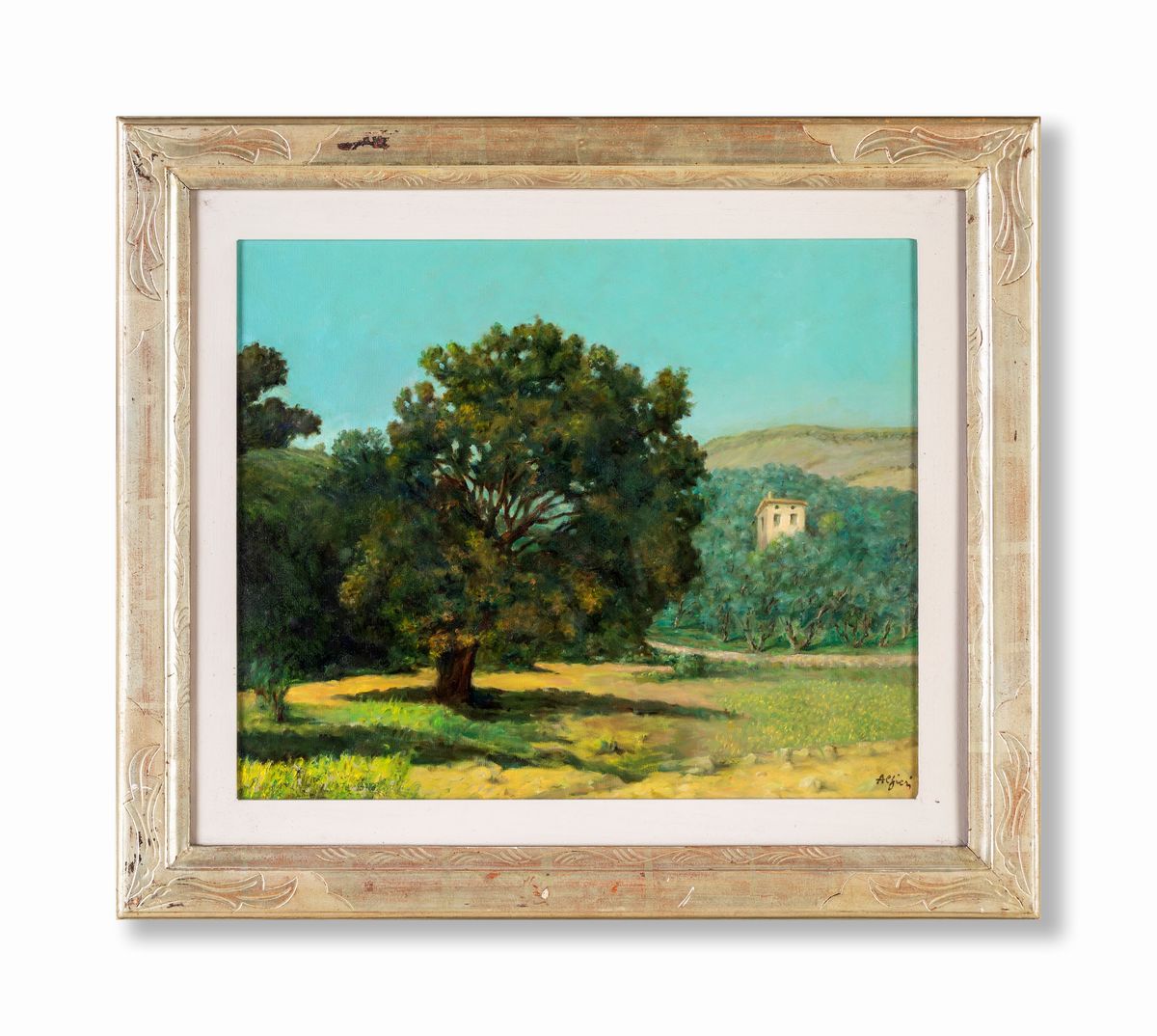 Manlio Alfieri - Uliveto ai Margini di un Bosco