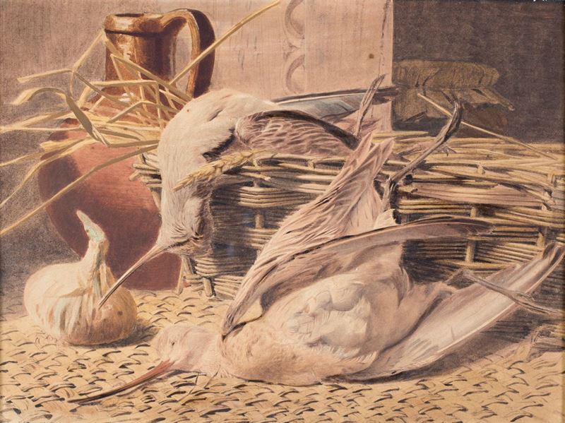 Anonimo del XIX Secolo - Beccacce