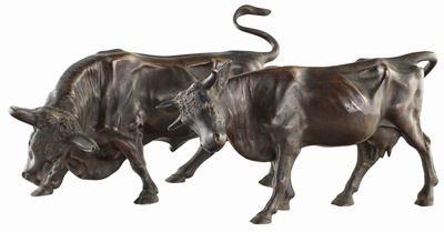A) Toro B) Giovenca