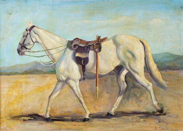 Pittore degli inizi del XX secolo - Cavallo bianco