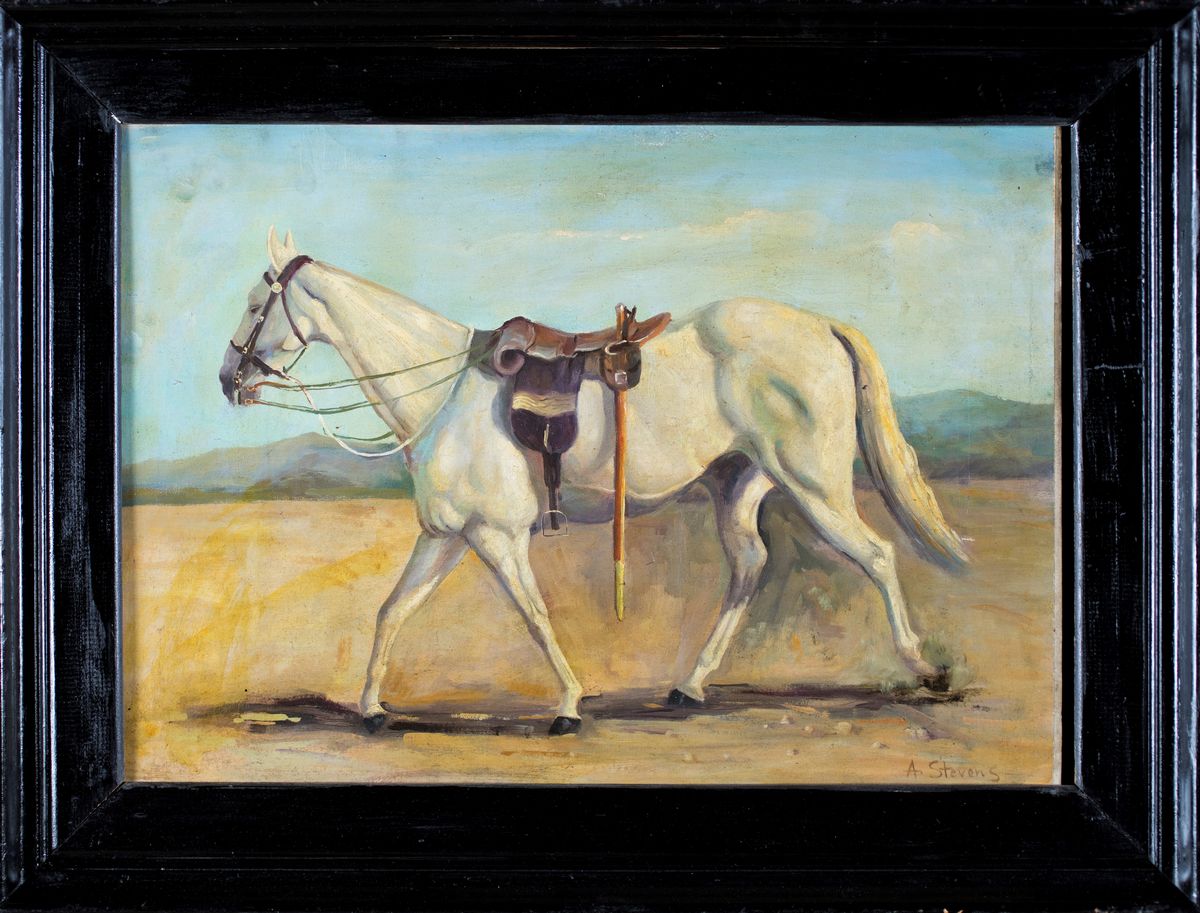 Pittore degli Inizi del XX Secolo - Cavallo Bianco