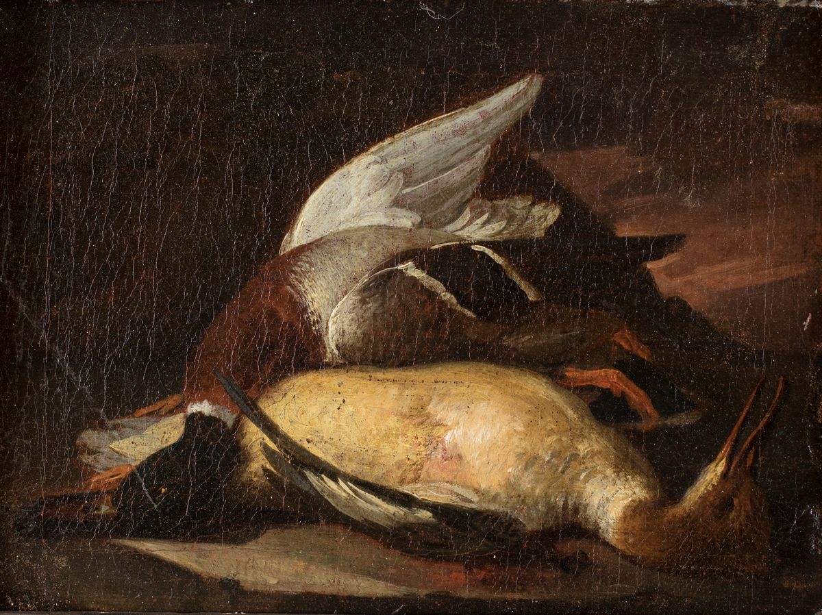 Scuola Lombarda del XVII Secolo - Natura Morta di Selvaggina