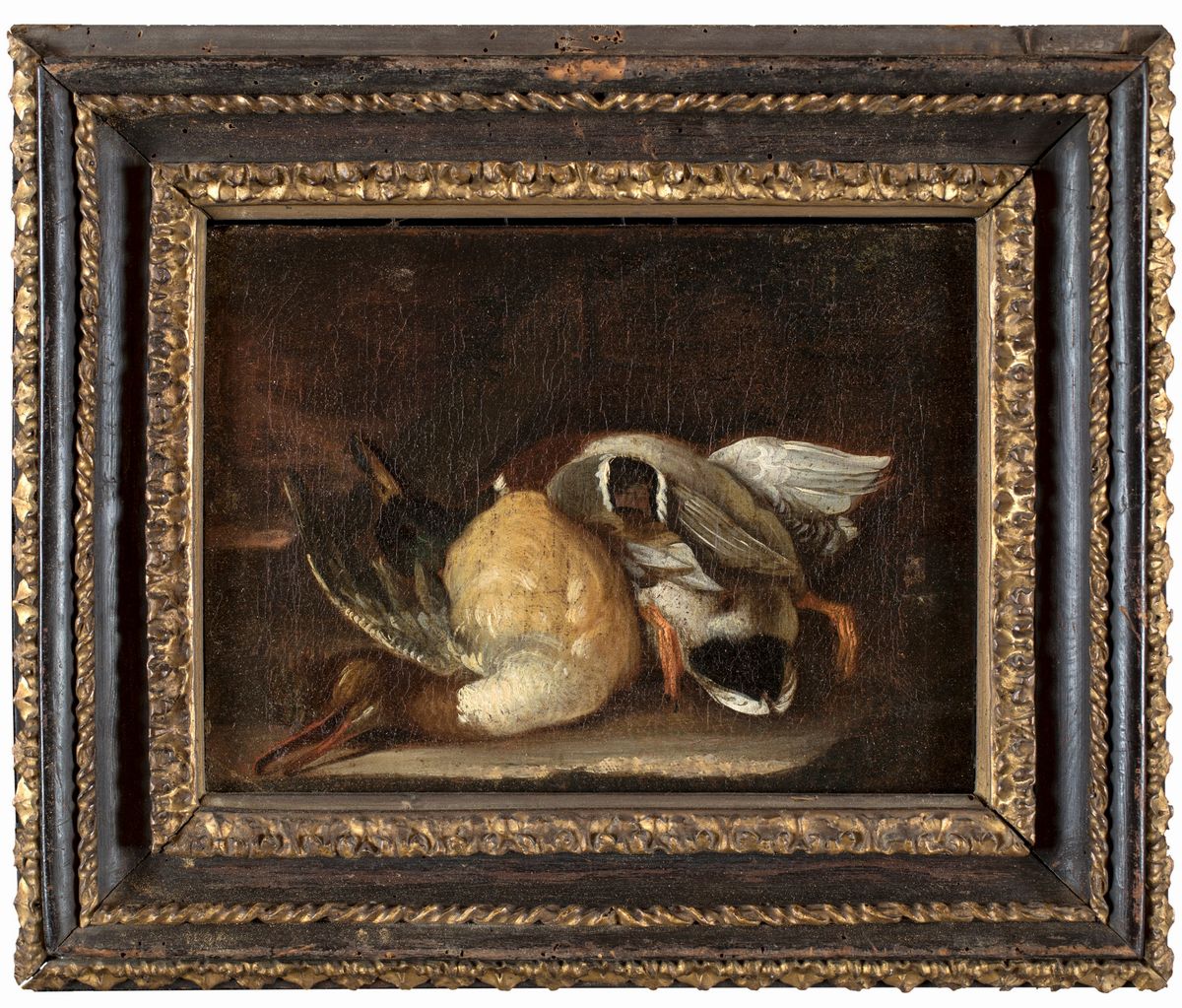 Scuola Lombarda del XVII Secolo - Natura Morta di Selvaggina