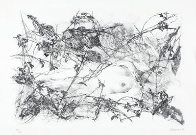 Nuda nel Bosco