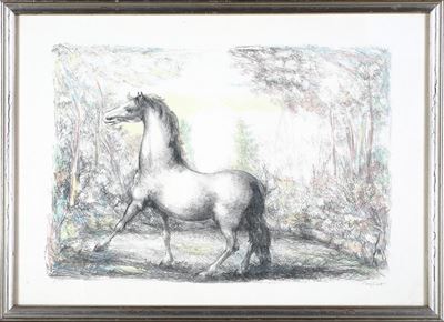 Cavallo