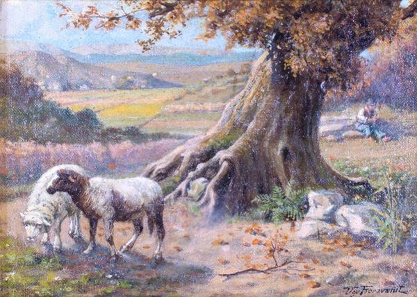 Ugo Fioravanti - Pecore e pastore
