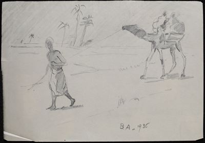 Cammello nel Deserto