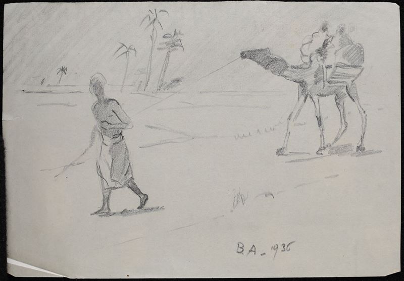 Anonimo del XX Secolo - Cammello nel Deserto