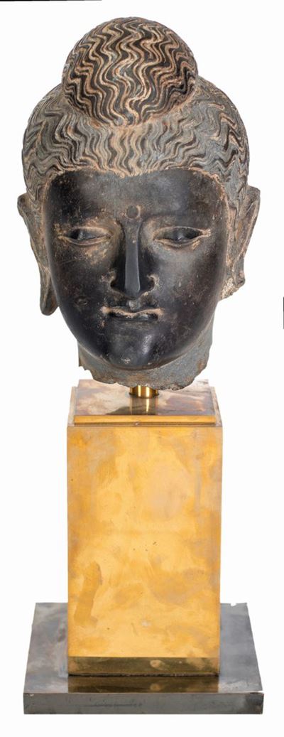 Testa di Buddha in Scisto Nero, Area Storica del Gandhara, III-IV Secolo