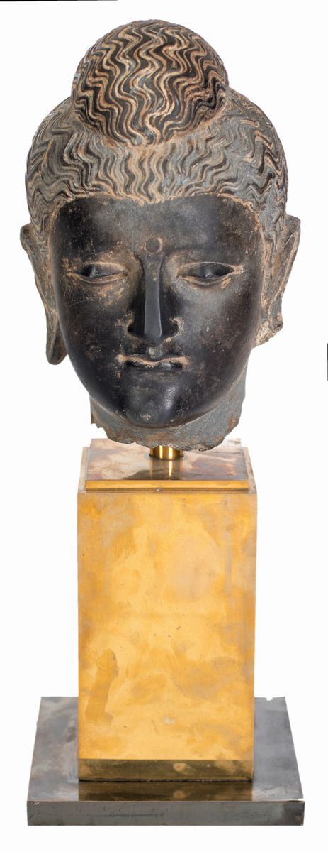 Testa di Buddha in Scisto Nero, Area Storica del Gandhara, III-IV Secolo