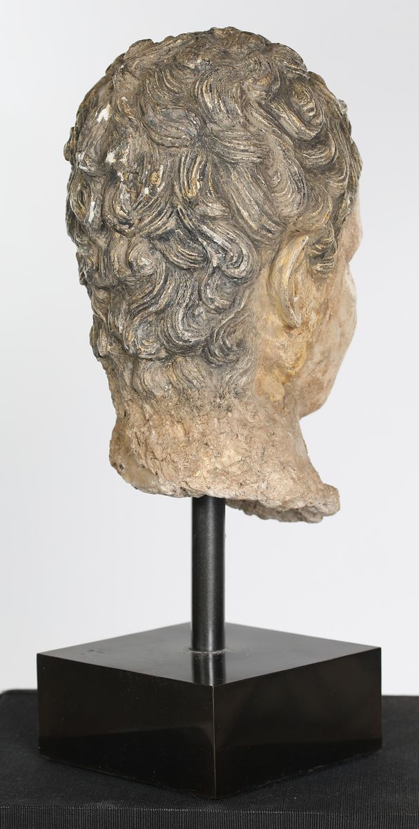 Testa di Giovane in Stucco Policromo, Area Storica del Gandhara, II-III Secolo