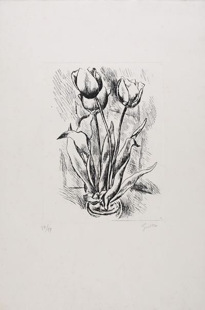Tulipani