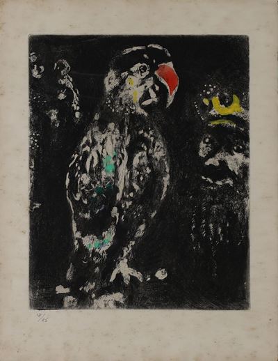 Senza Titolo (il Pappagallo)