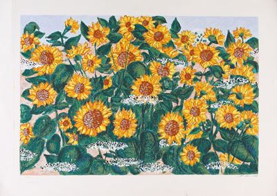 Girasoli