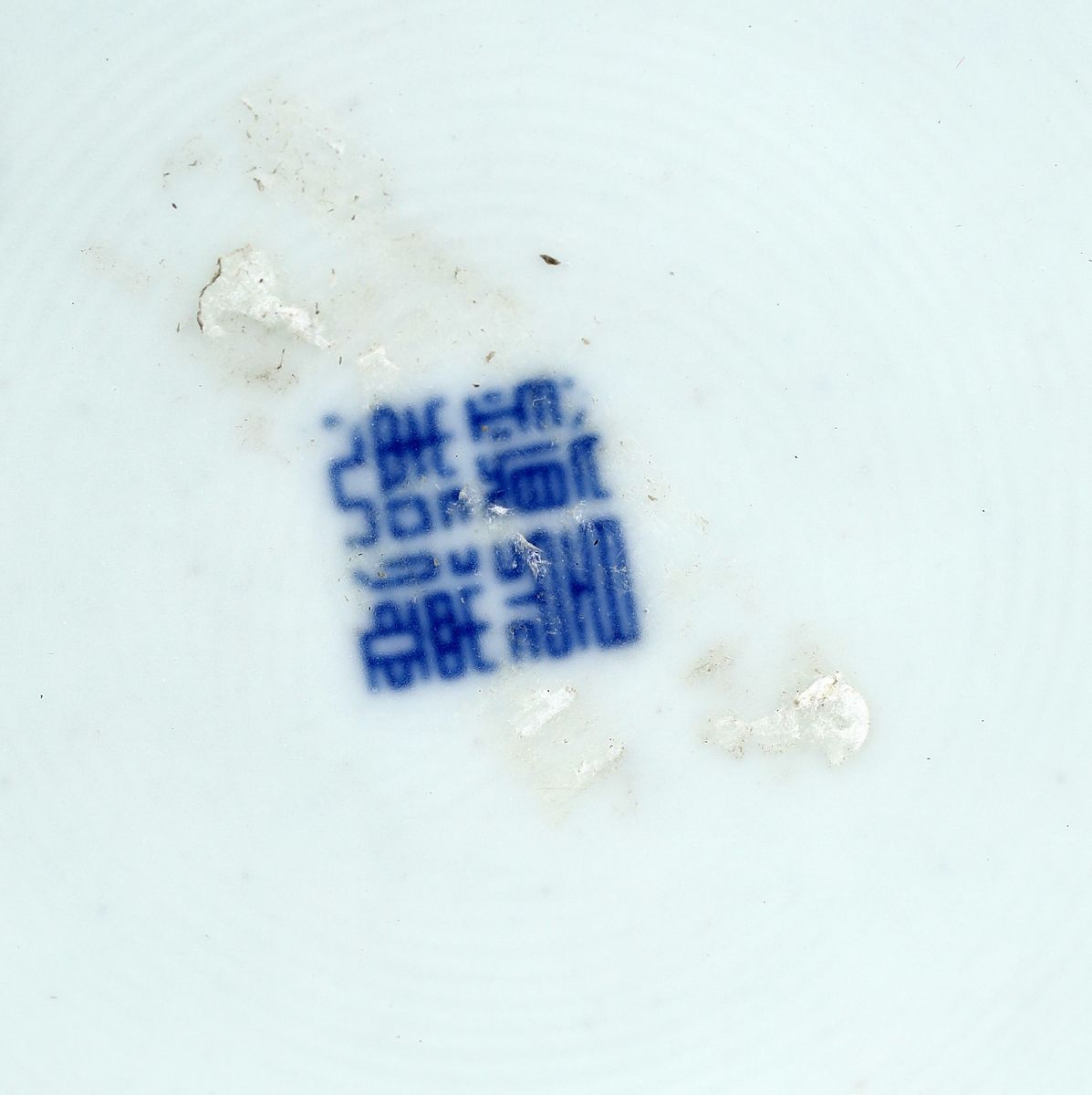 Coppia di Vasi in Porcellana Bianca e Blu