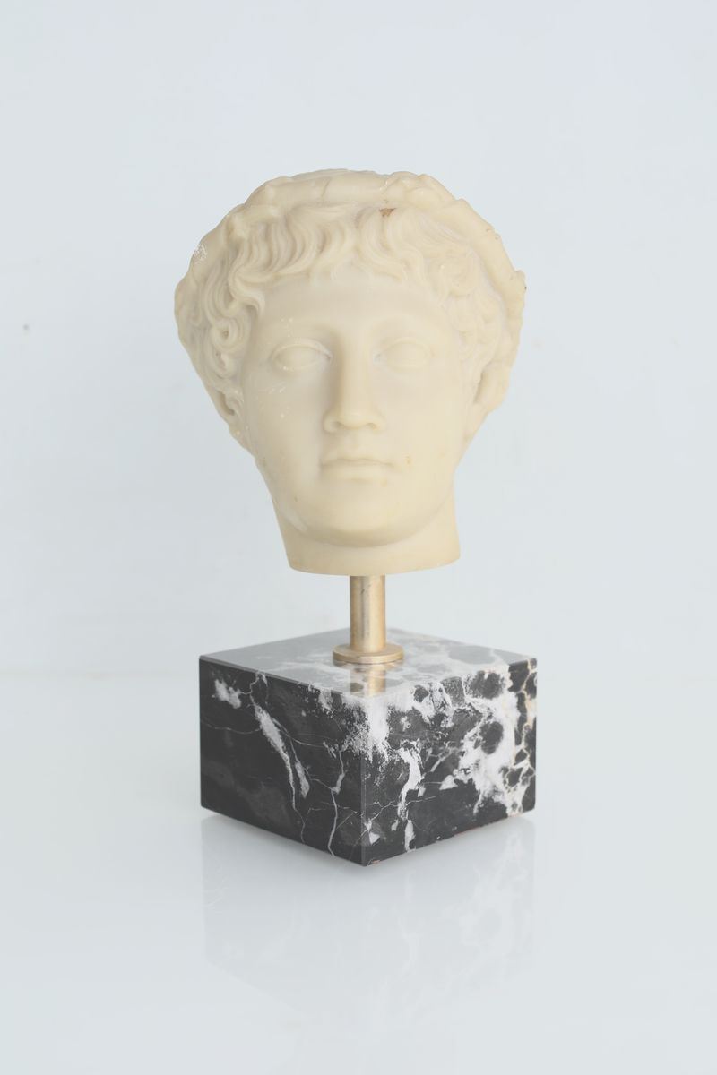 Testa di Giovane Bacco in Polvere di Marmo, Edizioni dei Musei Vaticani