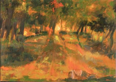 Paesaggio Alberato