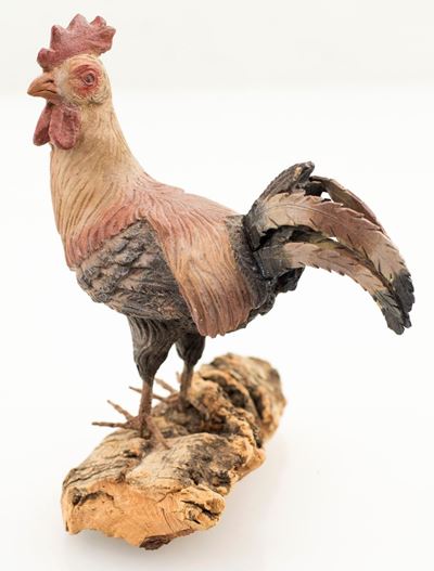 Gallo
