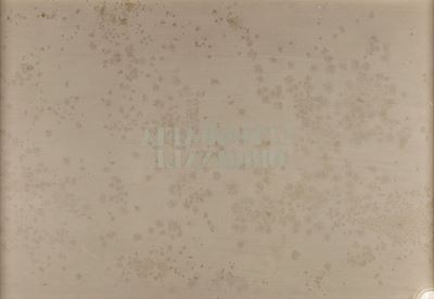 Litografia Originale