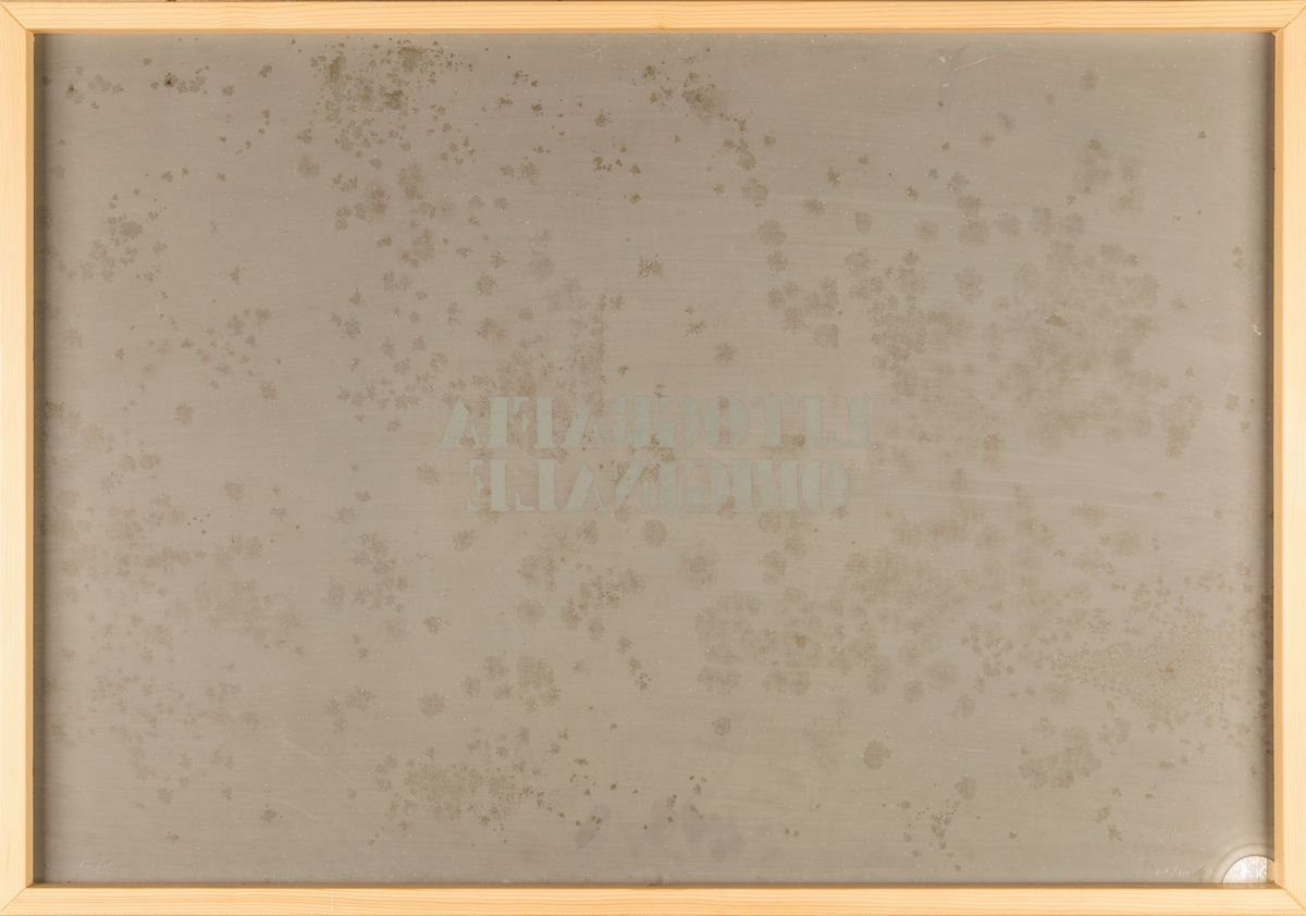 Enrico Castellani - Litografia Originale