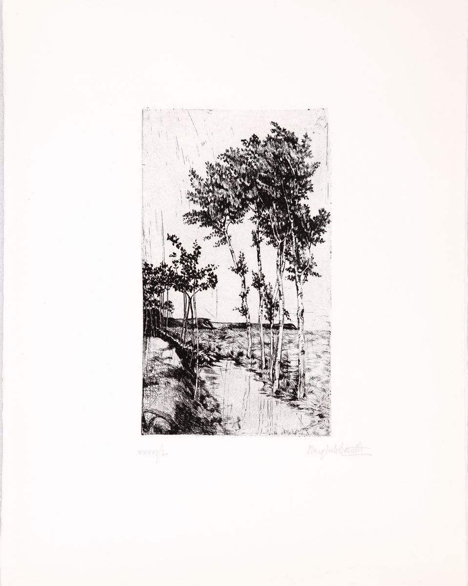 Margherita Benetti - Intorno a Guastalla