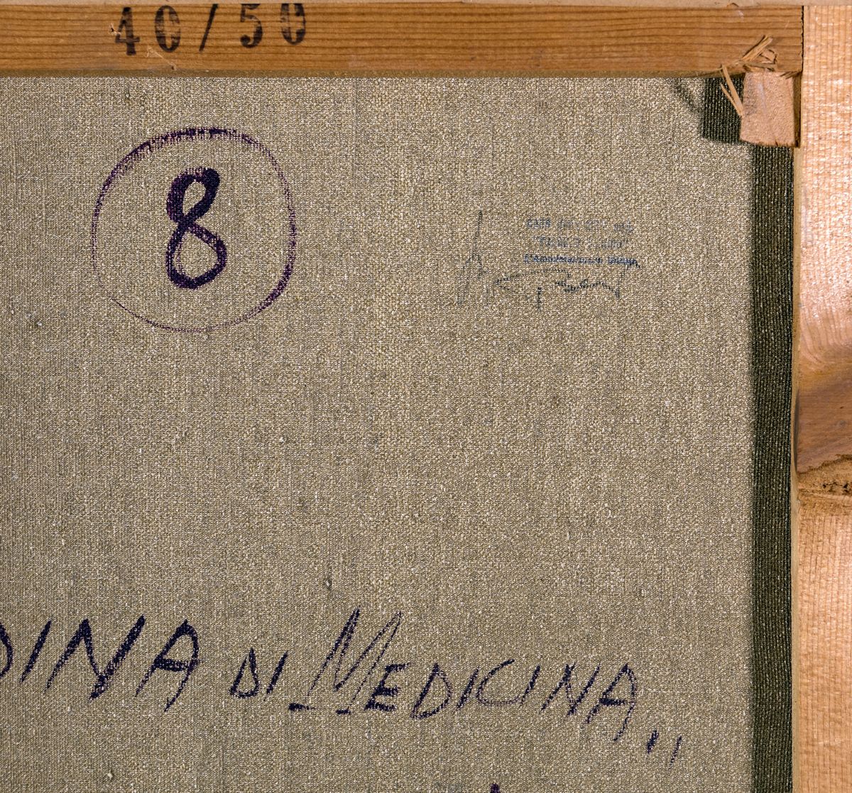 Aldo Borgonzoni - Mondina di Medicina