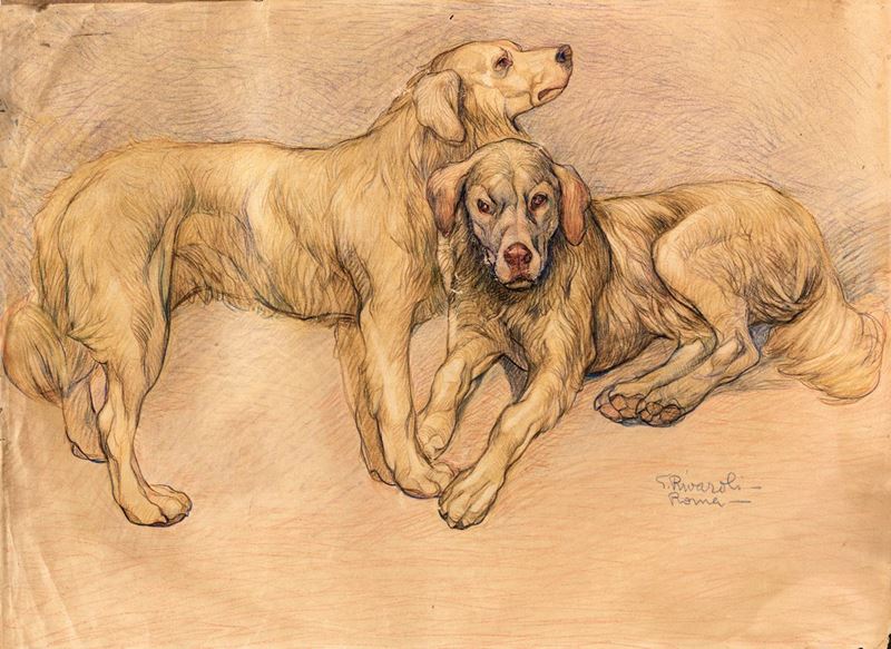 Giuseppe Rivaroli - Due Cani