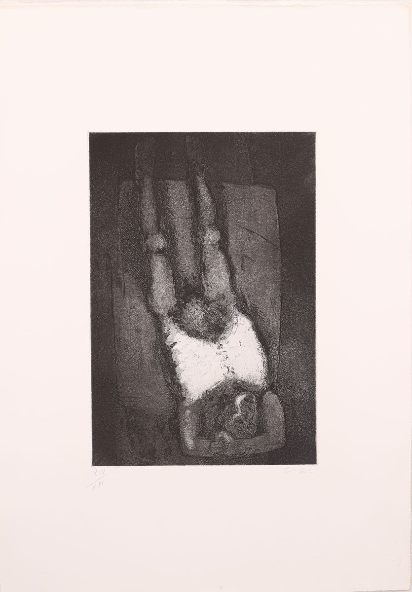 Aa.vv. - 16 Incisioni