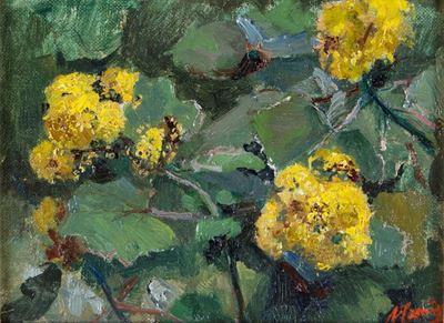 Fiori Gialli