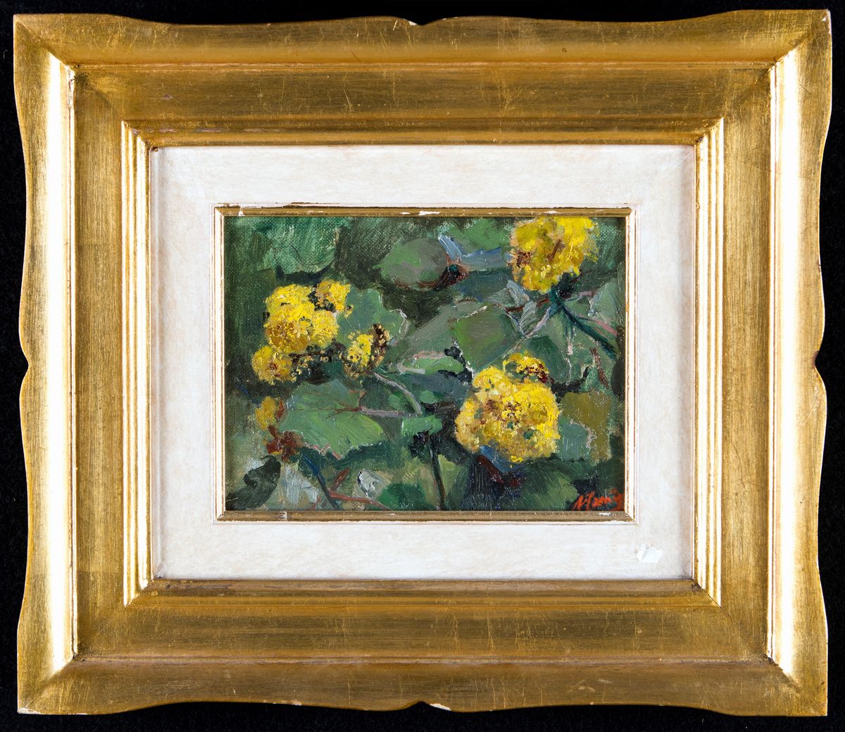 Antonio Ferrigno - Fiori Gialli