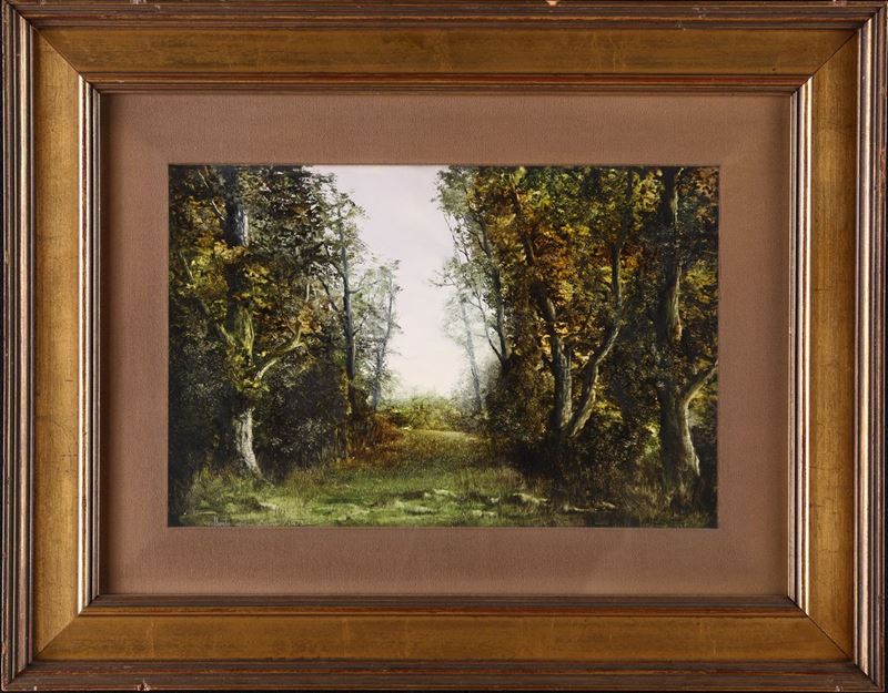 Alberto Vespaziani - Bosco